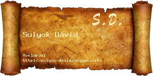 Sulyok Dávid névjegykártya
